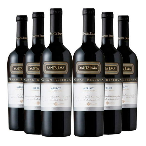 6 Vinos Gran Reserva Merlot, 750 ml, 13%