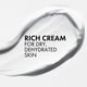 thumbnail image 3 of Crema hidratante Vichy Mineral 89 Rich 72H con ácido hialurónico, 3 of 7
