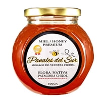 Miel De Abeja Natural Chiloé Frasco 500 G Panales Del Sur