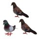 thumbnail image 4 of 3x falsas plumas artificiales de espuma palomas aves boda decoración adornos lugar, 4 of 5