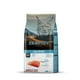 thumbnail image 1 of Alimento Super Premium Para Gatos Sabor Salmón 2 kg, 1 of 4