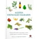 thumbnail image 1 of Guías Sagradas - Aceites Esenciales Sagrados, 1 of 8