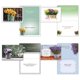 thumbnail image 3 of Tarjetas de Felicitación Shared Blessings – 48 unidades con versículos de la versión King James, 3 of 9