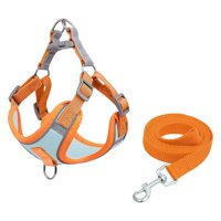 Ioensy - Arnés Para Cachorros Arnés Ligero Y Suave Para Mascotas Arnés Para Correr Caminar Entrenamiento Xl