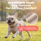 thumbnail image 5 of Arnés para perro Best Pet Supplies pequeño color caqui con malla de aire, 5 of 8