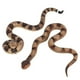 thumbnail image 1 of Serpiente de cascabel de goma realista Lohoee (2 unidades), 1 of 3