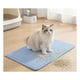 thumbnail image 5 of Alfombra Atrapa Arena De Gatos Tapete Arenero Doble Capa Azul 45x60, 5 of 5