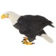 thumbnail image 1 of Pájaro de plástico modelo estatuilla figura de acción para ni?os juguete regalo ornamento águila calva, 1 of 5