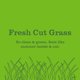 thumbnail image 2 of Ambientador Mrs. MEYER'S Fresh Cut Grass 236 ml, 2 of 6