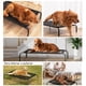 thumbnail image 2 of Cama Elevada Perros Grandes PetsCool Catre Térmico Reforzado 40kg, 2 of 5