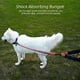 thumbnail image 3 of Correa extensible reflectante para perros, correa elástica de entrenamiento para perros, 3 of 5