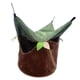 thumbnail image 4 of Nido De Pájaros Para Accesorios De Jaula, Casa Pequeña Para Mascotas Para Hámster, Periquitos, Tortolitos S, 4 of 5