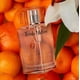 thumbnail image 3 of Perfume Trish McEvoy n.º 6, mandarín y lirio de jengibre, 50 ml, 3 of 3