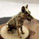 thumbnail image 5 of Estatua De Perro De Latón Feng Shui Coleccionables Estatuilla De Latón De Perro Para Decoración, 5 of 6