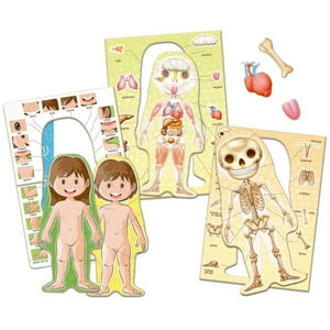 Rompecabezas Educa 99 Piezas Aprendo El Cuerpo Humano