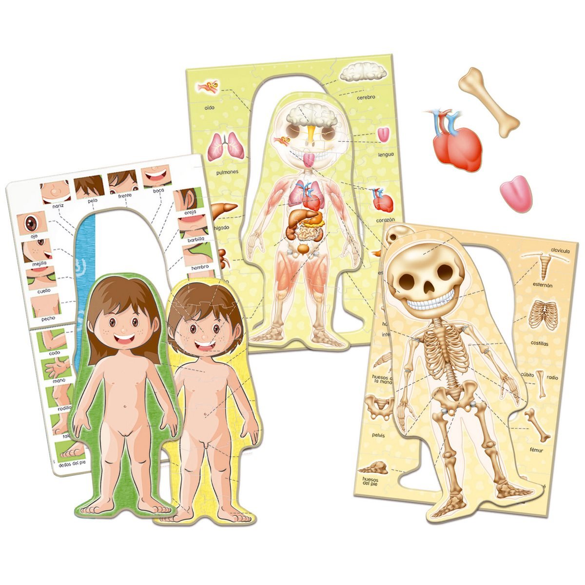 Rompecabezas Educa 99 Piezas Aprendo El Cuerpo Humano