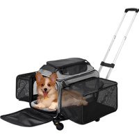 Transportín Para Mascotas Cozy Cruiser, Aprobado Por La Aerolínea