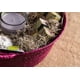 thumbnail image 2 of Moss SuperMoss, musgo español seco natural, 250 ml, 2 of 5