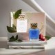 thumbnail image 3 of Perfume Surrati Royal Musk Blueberry Grapes EDP 100 ml, 3 of 4
