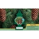 thumbnail image 1 of Pino Aromatizante Pino Real, 1 of 3