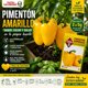 thumbnail image 4 of Semillas Las Encinas Pimentón Amarillo, 4 of 4