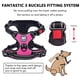 thumbnail image 2 of Arnés Para Perros Sin Tirones Reflectante Ajustable Rosa Talla M, 2 of 7