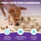 thumbnail image 2 of Juguete para enriquecer el rompecabezas Dog Smart Treat Outward Hound, nivel 1, 2 of 8