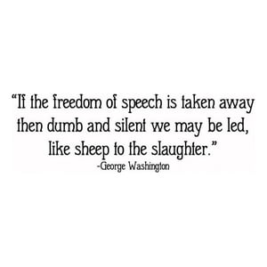 Rienda Libre Graphics - Decomural Freedom Of Speech George Washington Ws-44083