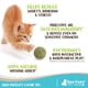 thumbnail image 2 of Bolas de hierba gatera Cat Toy Raw Paws para gatos (6 unidades), 2 of 6