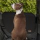 thumbnail image 2 of Protector de puerta de coche K&H Pet Products, impermeable para perros, paquete de 2, 2 of 9