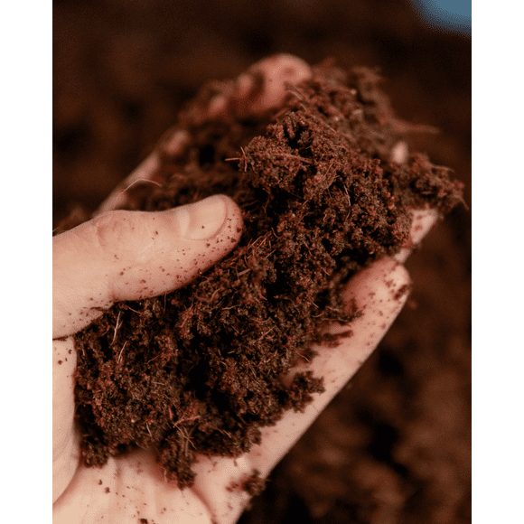 Fibra de Coco 10 Litros para Plantas, Sustratos y Mezclas de Cultivo
