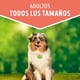 thumbnail image 3 of Sachet Dog Chow Adulto Pollo 20 Un., 3 of 8