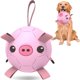 thumbnail image 1 of Juguete para perro QDAN Pelota de fútbol de 20 cm con correas, forma de cerdo, 1 of 8