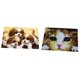 thumbnail image 3 of Juego De 2 Juegos De Ganchos De Pestillo Para Perros Y Gatos Con Herramienta Básica E Instrucciones Para Hacer Alfombras, 3 of 5