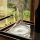 thumbnail image 3 of Decantador de vino, 3 of 6
