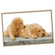 thumbnail image 3 of Kit de punto de cruz de dos perros DIY, contado para principiantes, 59 x 39 cm, 11CT, sellado, 3 of 5