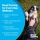 thumbnail image 2 of Good Tummy Masticables Probióticos De Res Para Perros 60 Unidades, 2 of 8