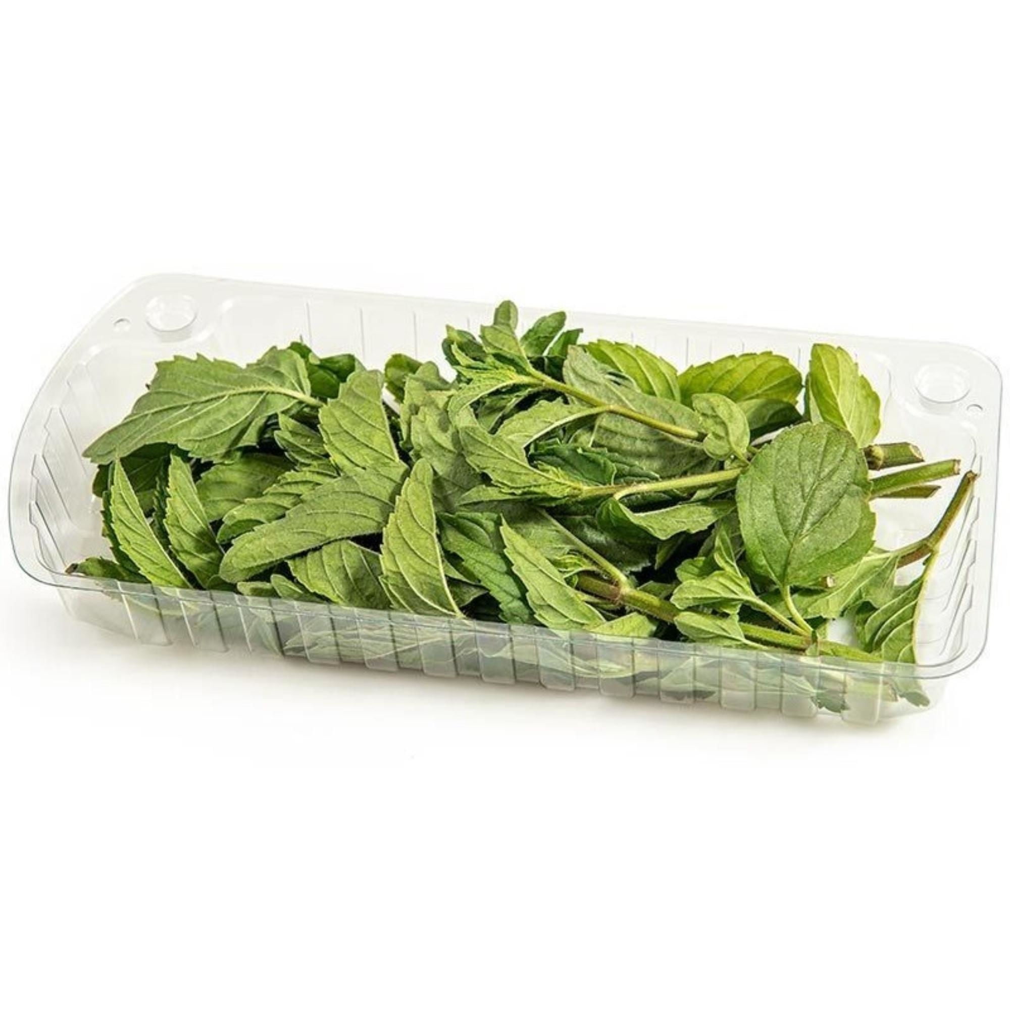 Hierba Buena Pote 1 Un