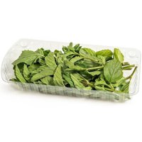 Hierba Buena Pote 1 Un