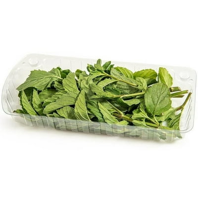 Hierba Buena Pote 1 Un