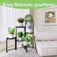 thumbnail image 2 of Soporte para Plantas CADANI de 6 Niveles Plegable, Metal Negro, 2 of 7