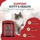 thumbnail image 4 of Suplemento Daybreak Nutrition L-lisina en polvo de 900 mg para gatos, 4 of 8