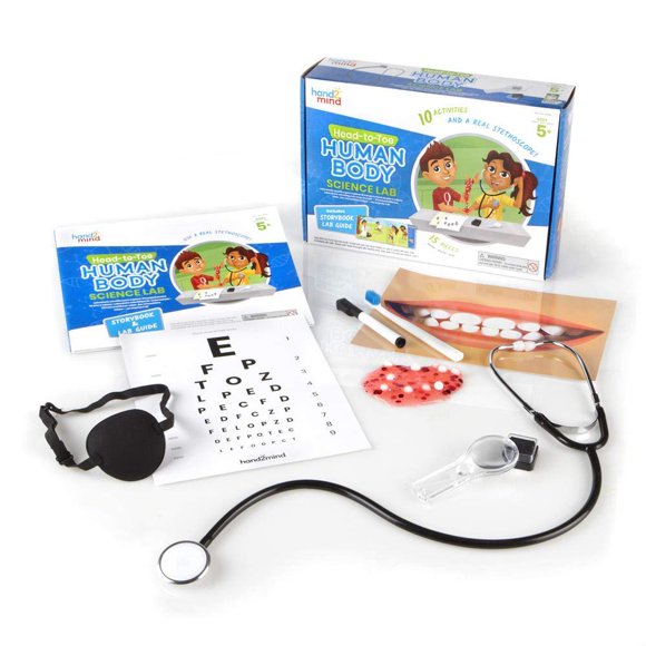 Kit científico hand2mind Head to Toe Human Body con Slime Kids