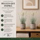 thumbnail image 4 of Set 2 Plantas Artificiales Flores Lavanda Decoracion Hogar blanco, 4 of 8