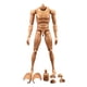 thumbnail image 2 of 1/6 Escala Hombro Estrecho 12 '' Modelo De Cuerpo De Soldado Masculino Juguetes, 2 of 3