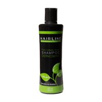 Hairline - Shampoo Cuero Cabelludo Graso Dermomint