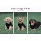 thumbnail image 2 of Chaleco polar Jacko & Co para perros pequeños y medianos con correa para perros pequeños y medianos, 2 of 8