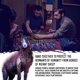 thumbnail image 4 of Juego de mesa ZERO STRATEGY GAMES The Sheep Co‑op, 4 of 6
