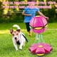 thumbnail image 3 of Pelota Rebotadora Magic 6 Luces Doble Forma Platillo Volador, 3 of 6