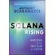 thumbnail image 1 of Solana Rising: Invirtiendo en la vía rápida de las criptomonedas – Wiley, 1 of 1